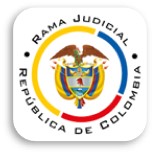 Imagen6